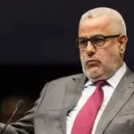 المناضل-ة