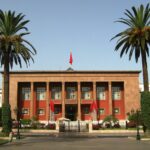 المناضل-ة